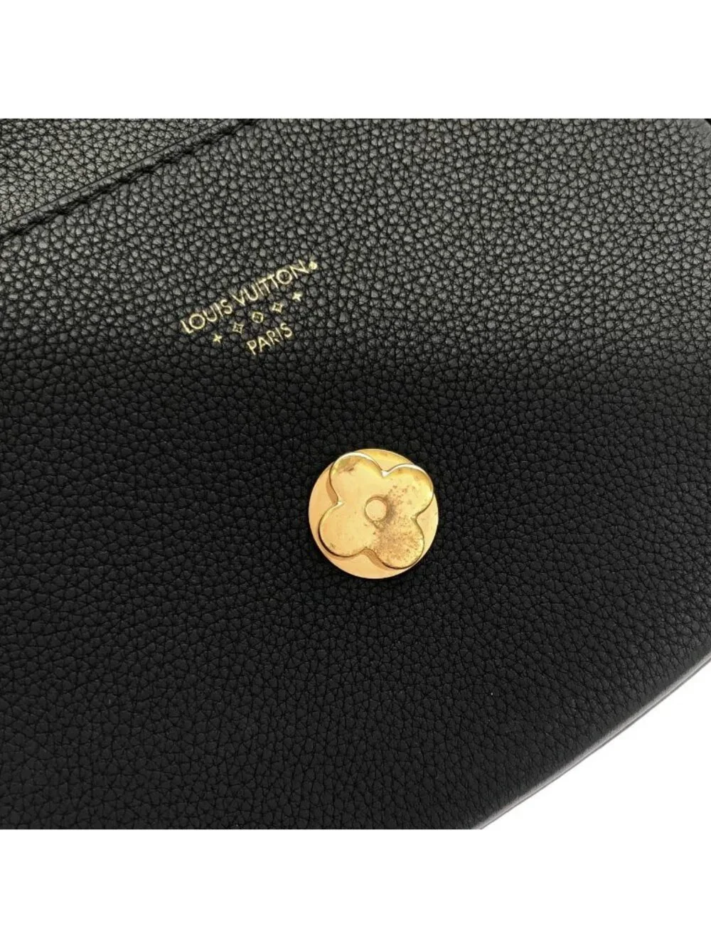 Louis Vuitton LV Pont Neuf Soft PM Shoulder